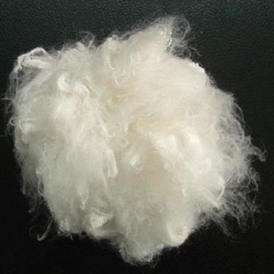 Polyester Fiber